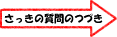 さっきの質問の続き